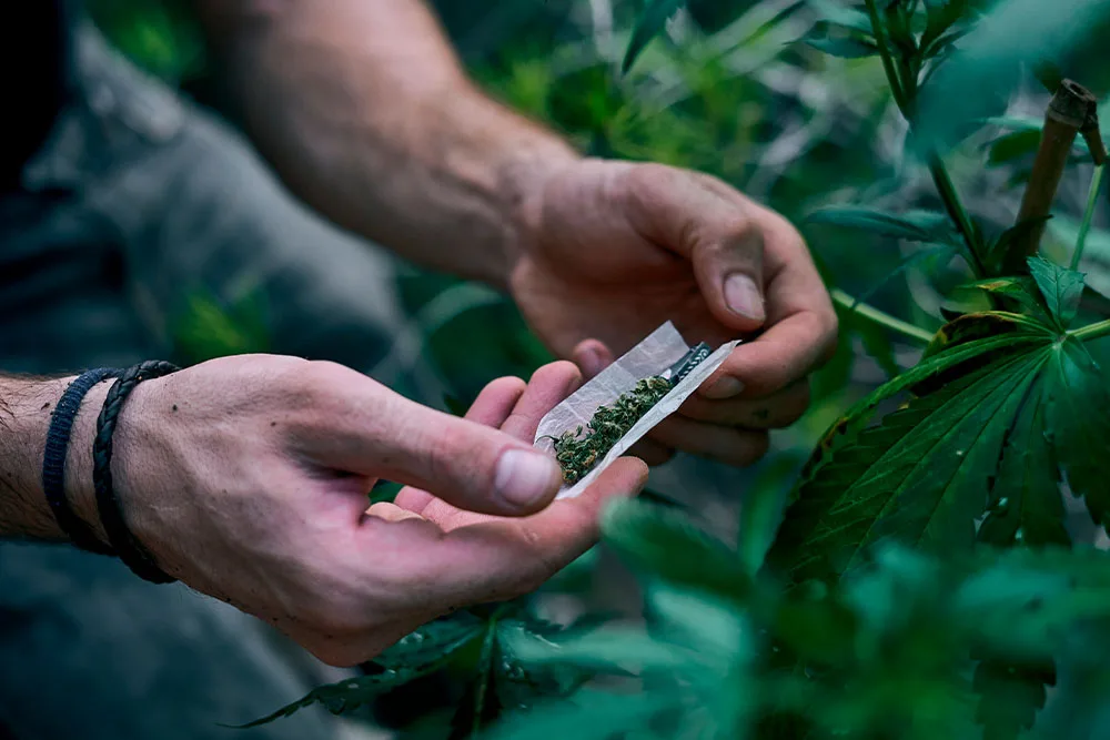 los-mejores-lugares-para-fumar-cannabis-en-barcelona